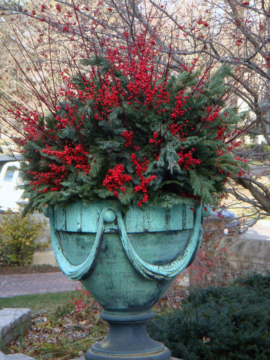 Container Gardening-Winter