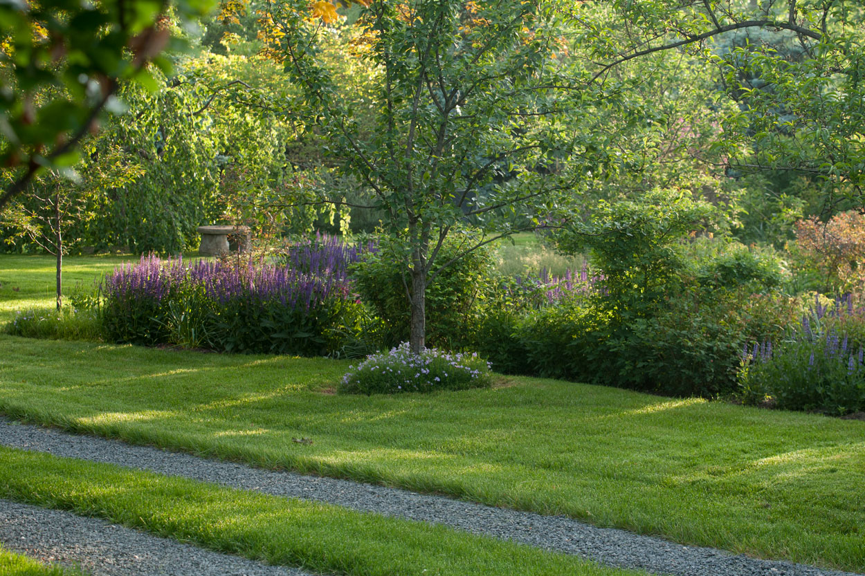 Edible Cutting Gardens