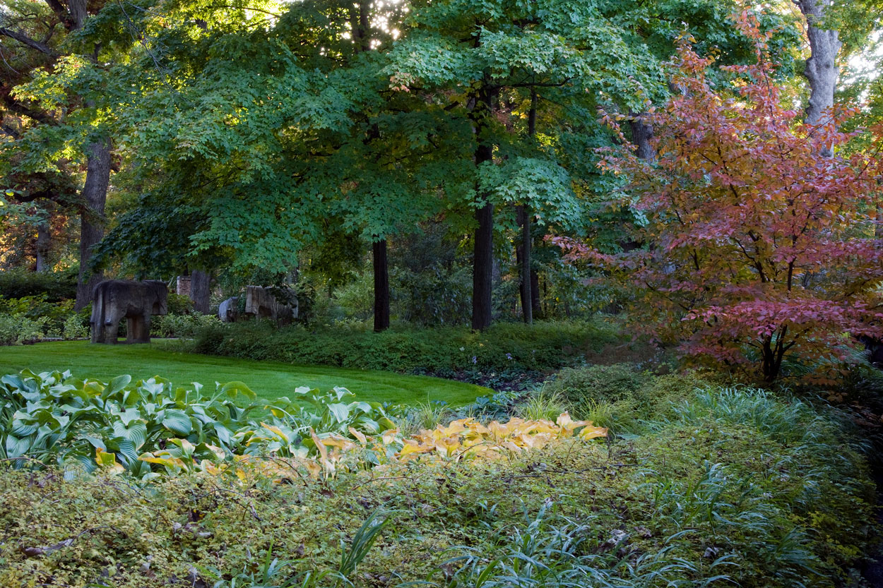 Contemporary Gardens