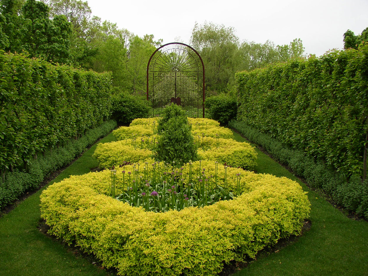 Diamond Patterned Gardens