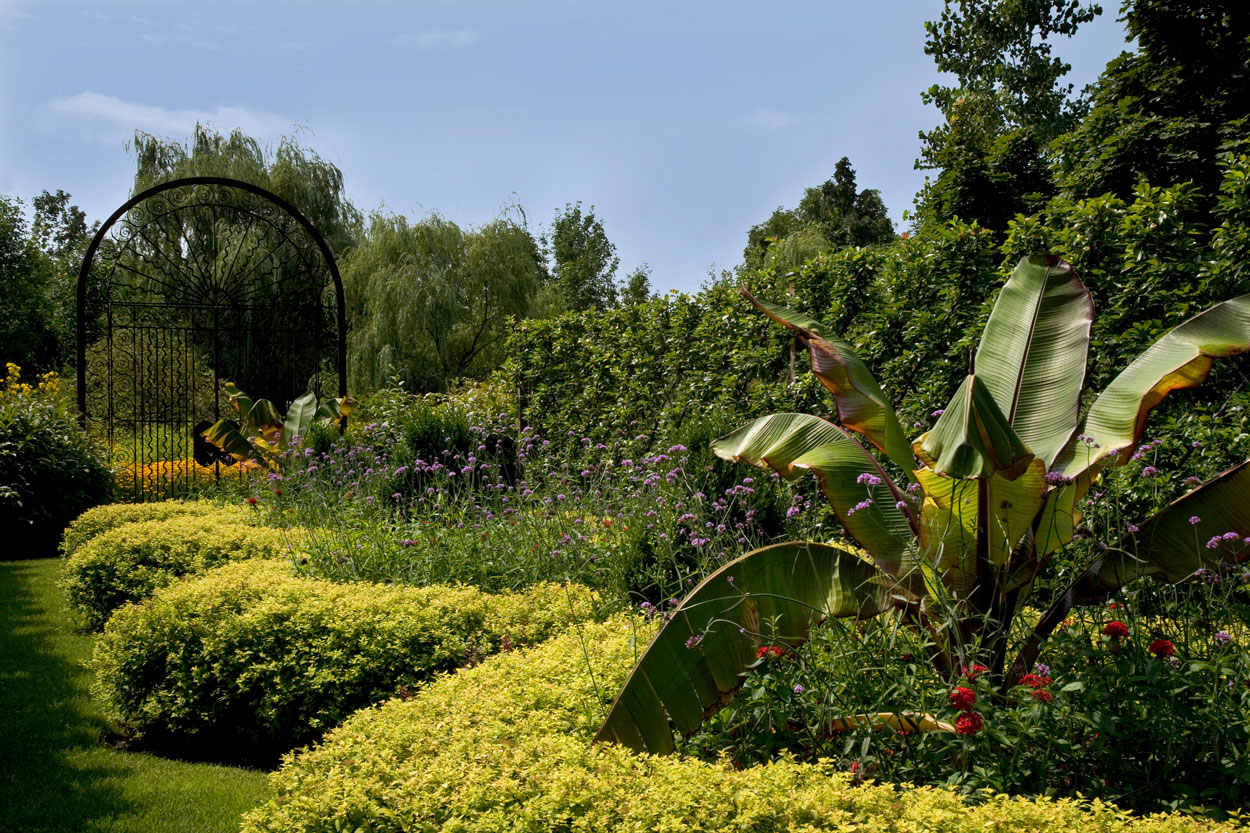 Diamond Patterned Gardens