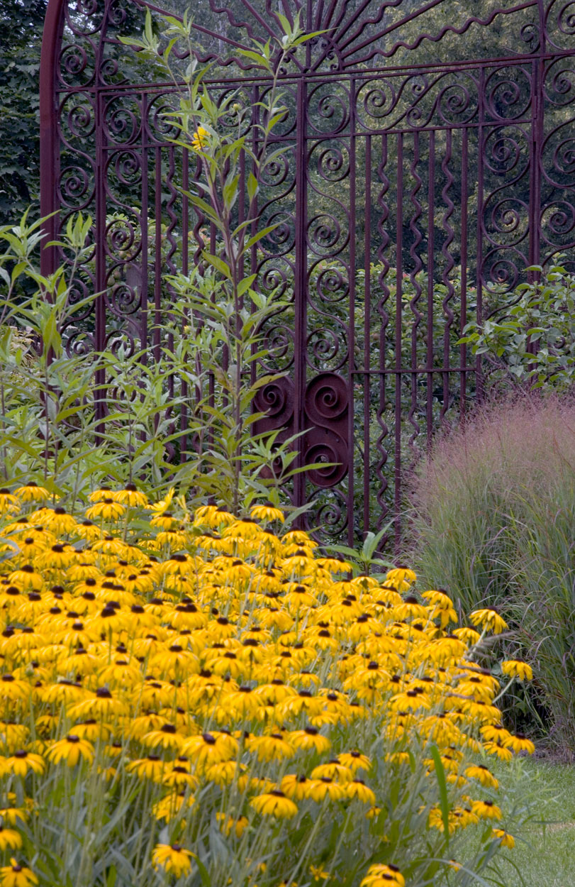 Diamond Patterned Gardens 006