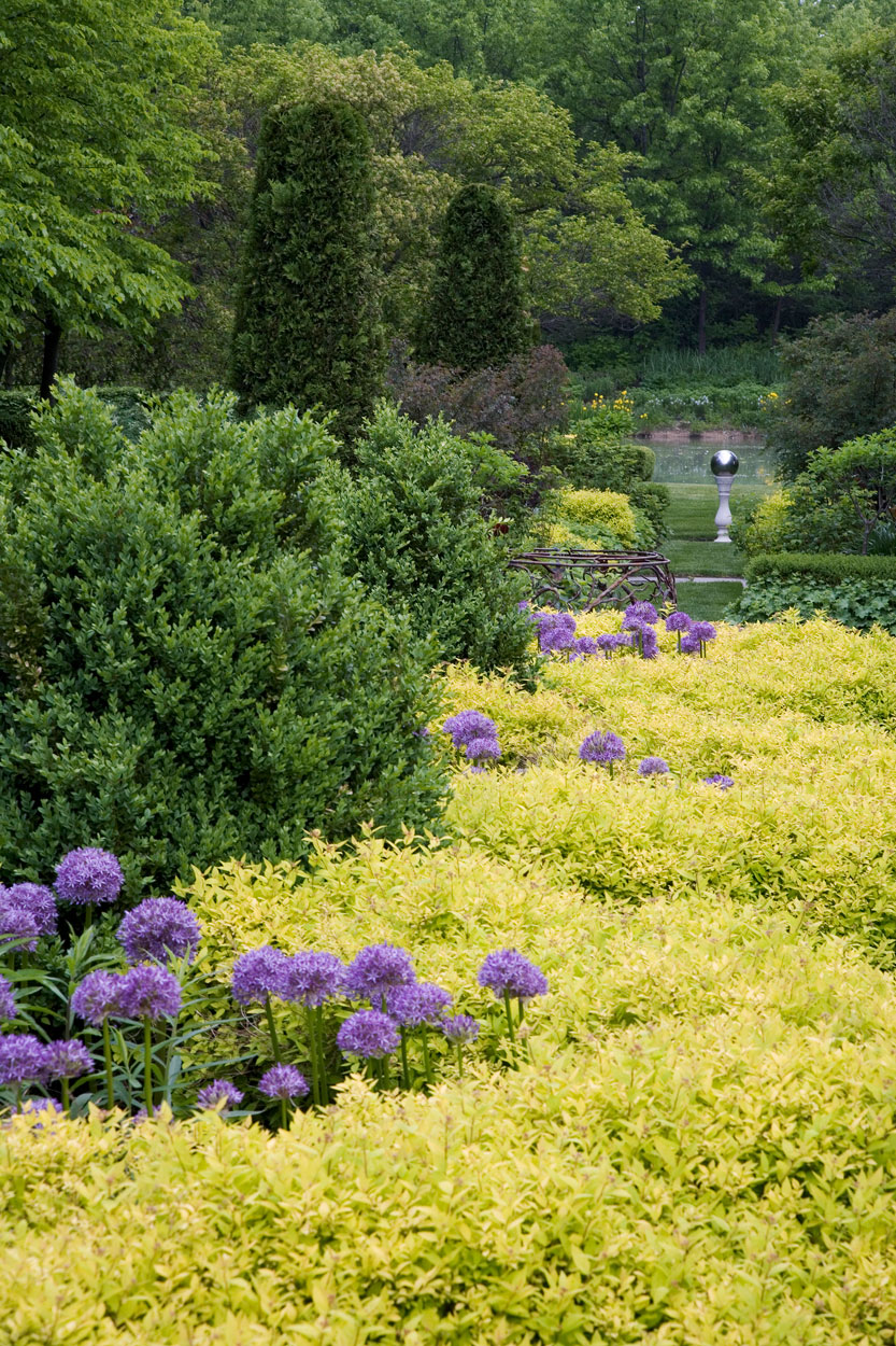 Diamond Patterned Gardens 007