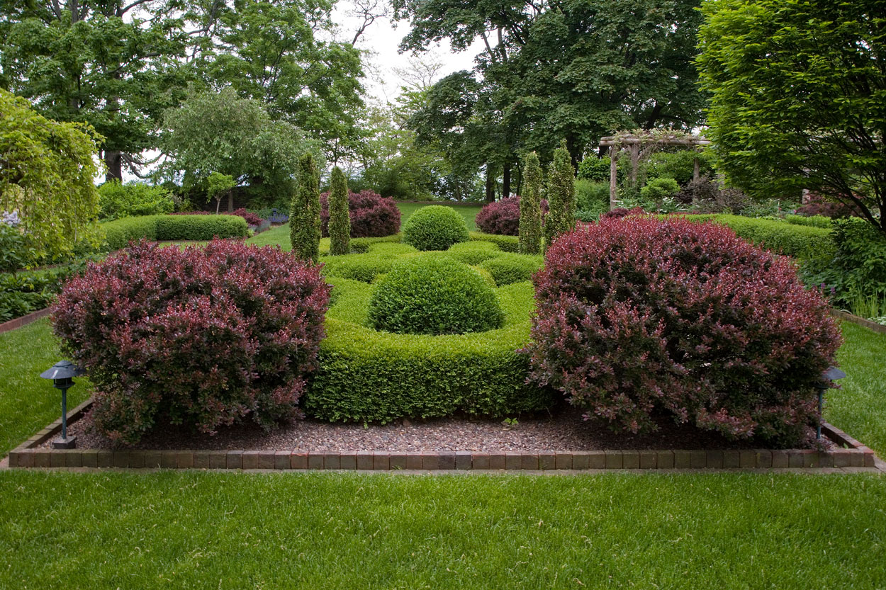 A Plant Collector’s Garden