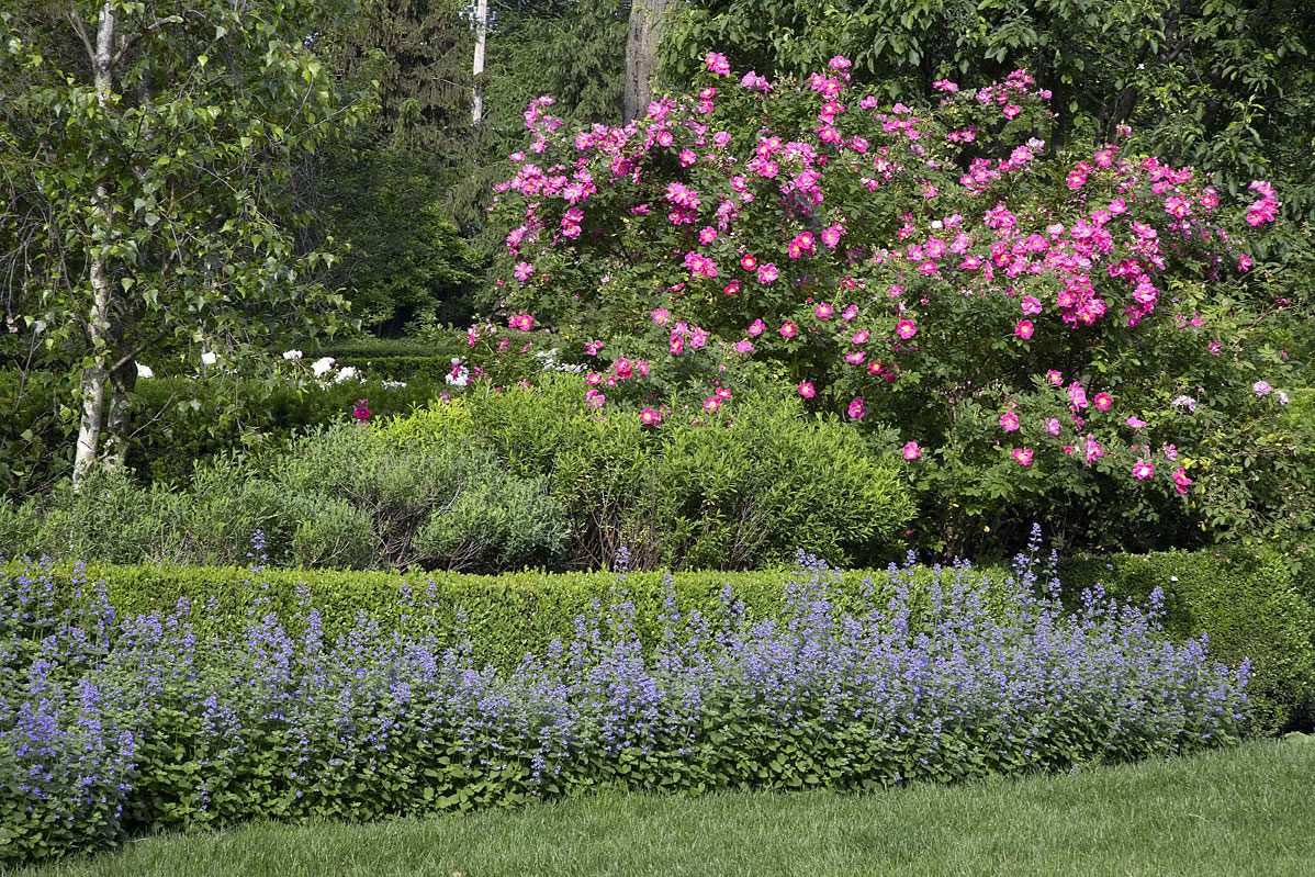 Pool Border Gardens 002