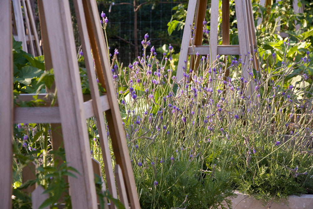 Rustic Kitchen Garden 003