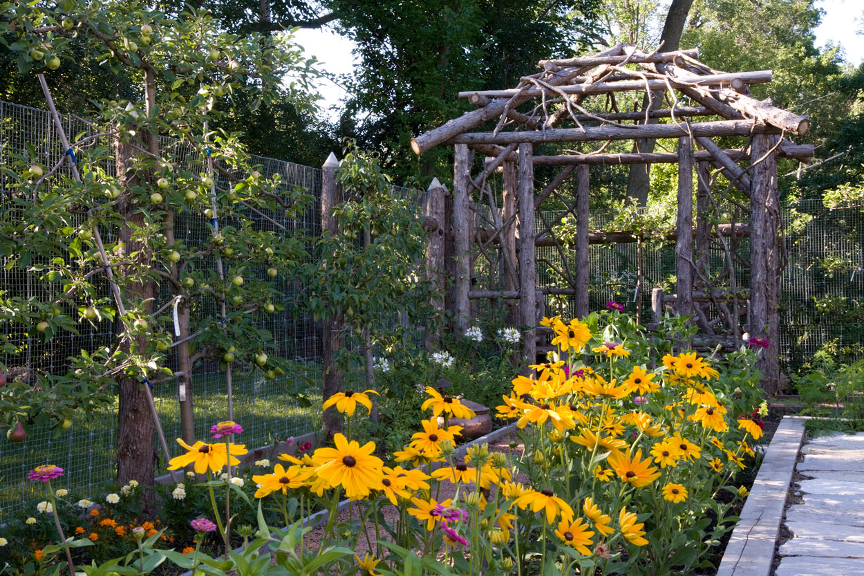 Rustic Kitchen Garden