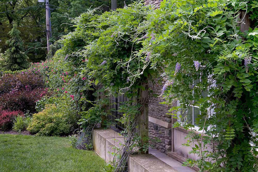 Woodland Ravine Garden